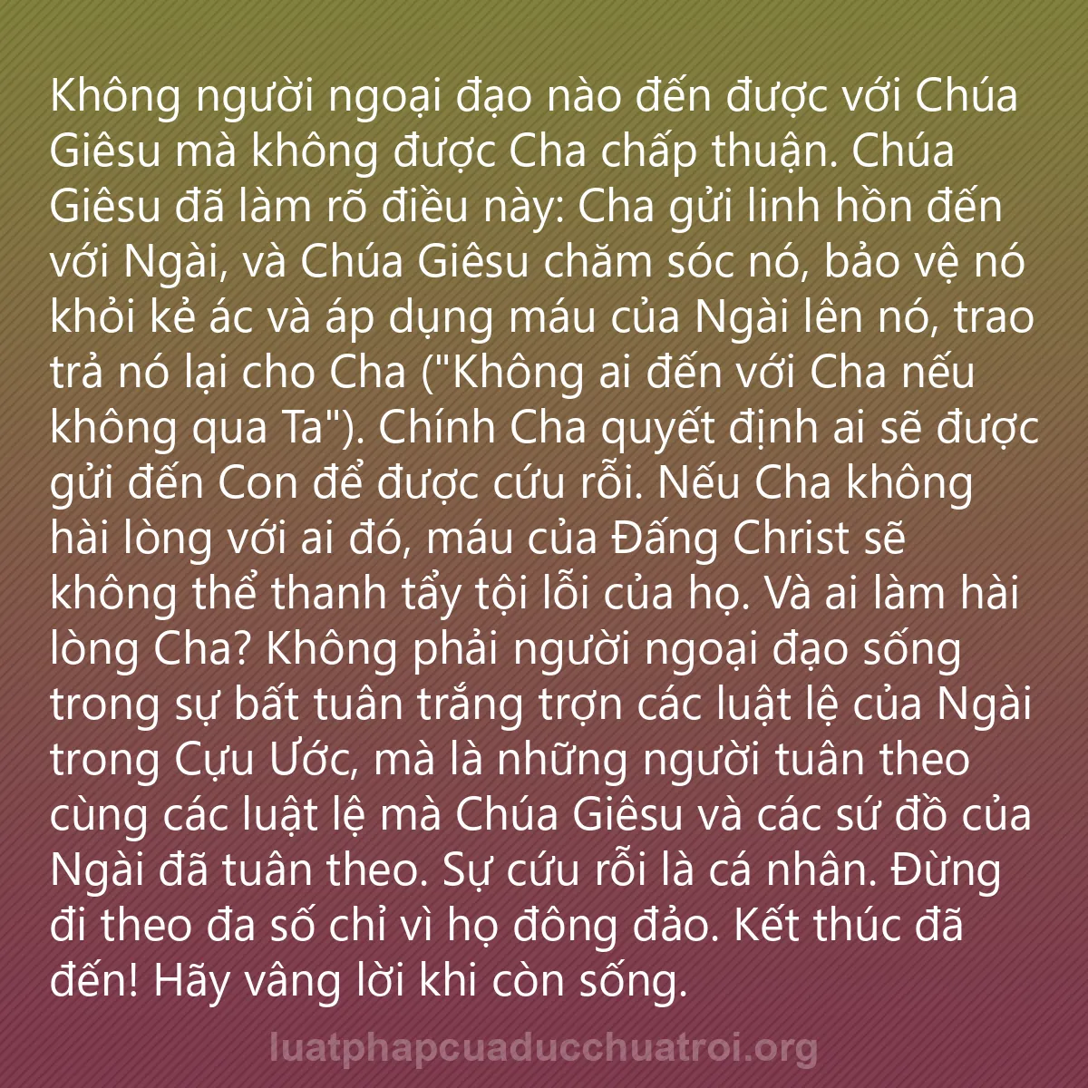 0008 - Bài đăng về Luật pháp của Đức Chúa Trời: Không người ngoại đạo nào đến được với Chúa Giêsu...