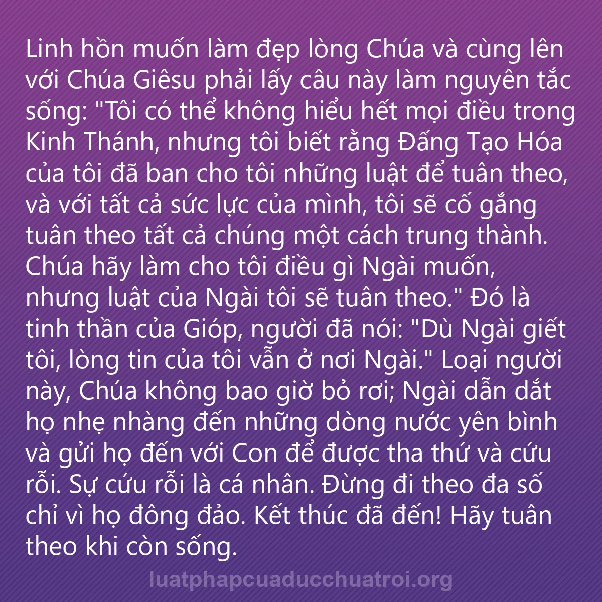 0091 - Bài đăng về Luật pháp của Đức Chúa Trời: Linh hồn muốn làm đẹp lòng Chúa và cùng lên với Chúa...