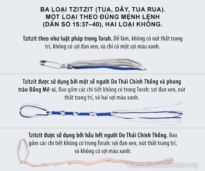 So sánh ba loại tzitzits khác nhau và mô tả loại tzitzit đúng theo Luật pháp của Đức Chúa Trời trong Kinh Thánh tại Dân số ký 15:37–40.