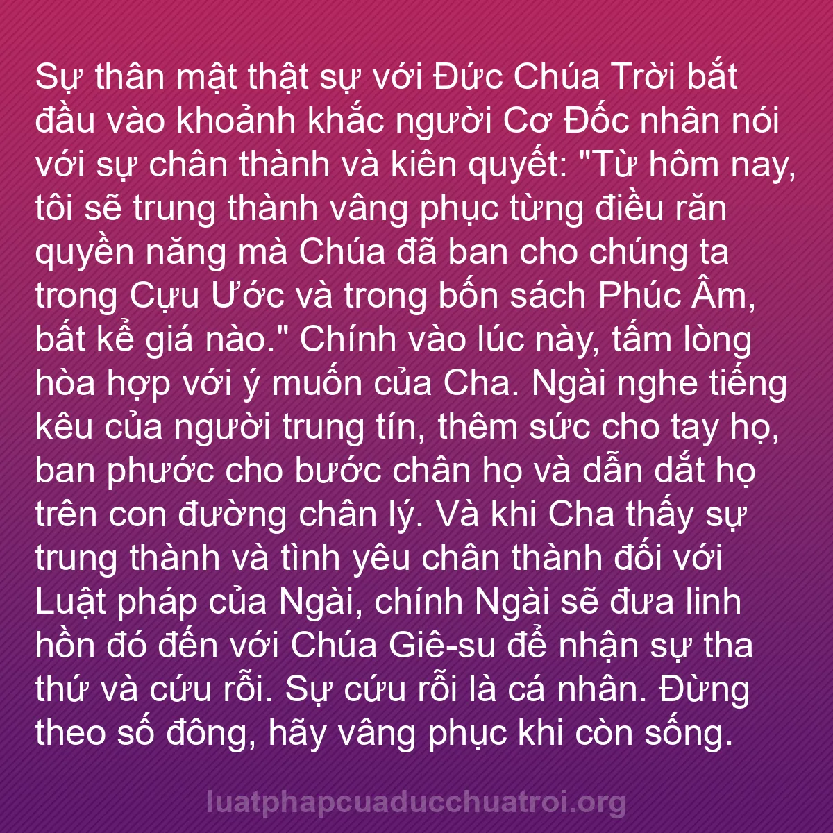 b0041 - Bài đăng về Luật pháp của Đức Chúa Trời: Sự thân mật thật sự với Đức Chúa Trời bắt đầu vào khoảnh khắc...