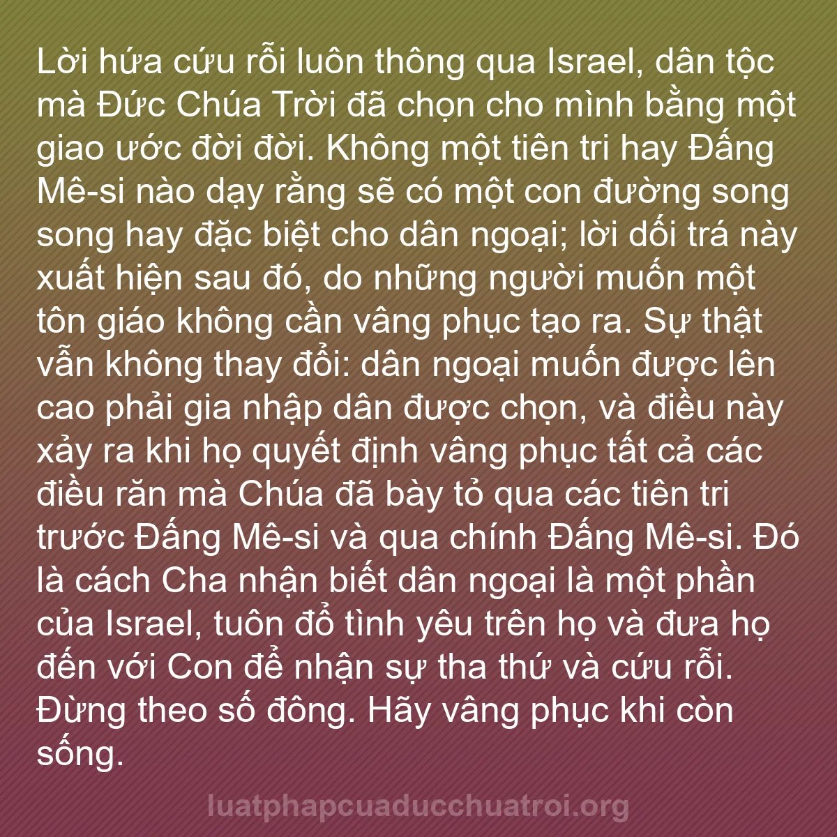 b0048 - Bài đăng về Luật pháp của Đức Chúa Trời: Lời hứa cứu rỗi luôn thông qua Israel, dân tộc mà Đức Chúa Trời...