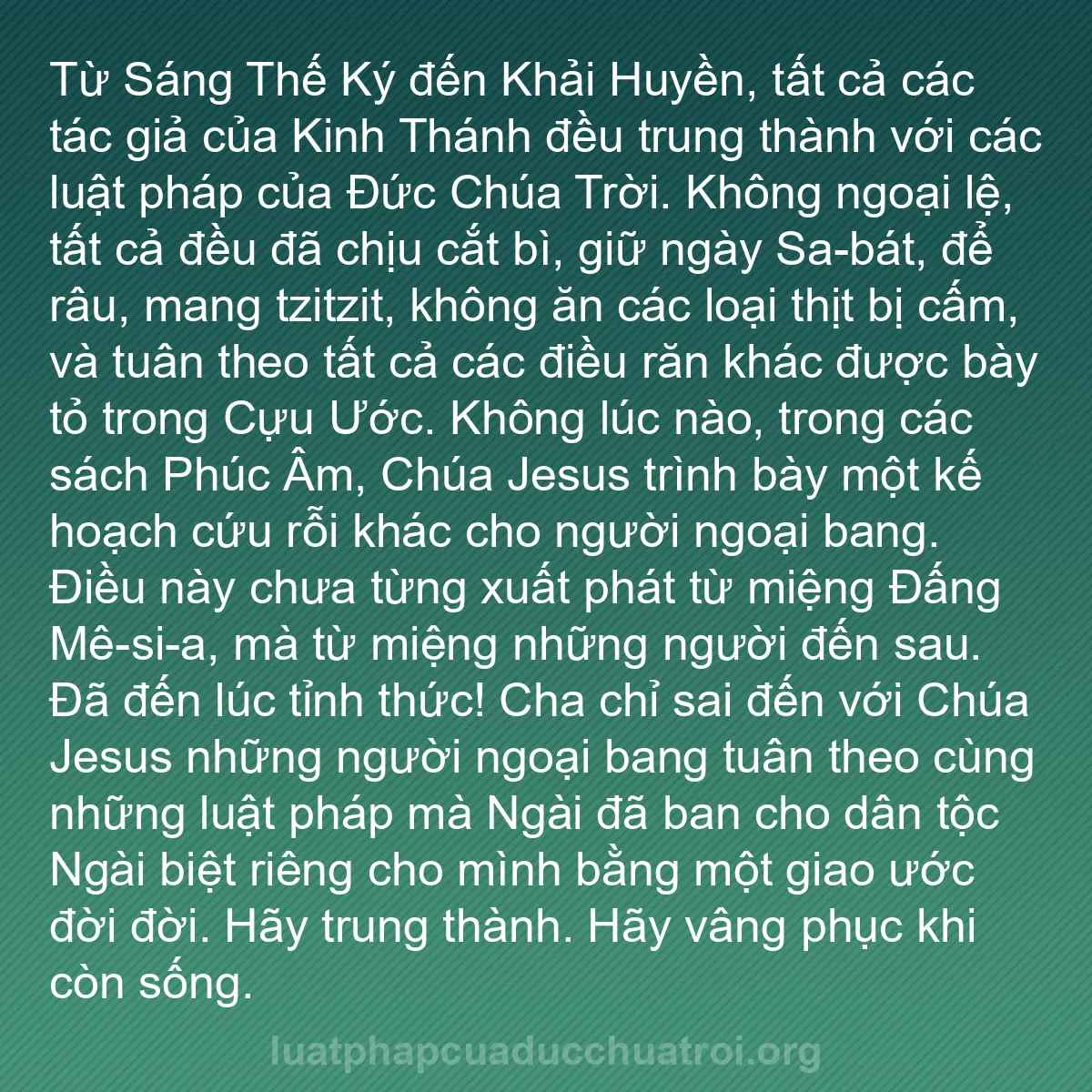 b0065 - Bài đăng về Luật pháp của Đức Chúa Trời: Từ Sáng Thế Ký đến Khải Huyền, tất cả các tác giả của Kinh Thánh...