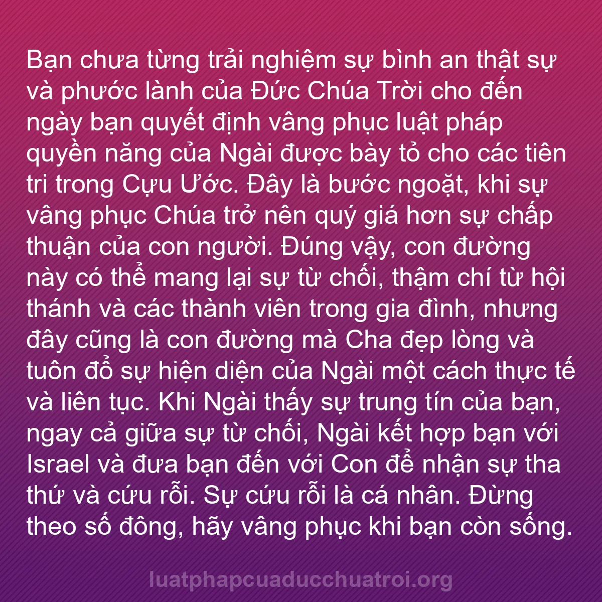 b0081 - Bài đăng về Luật pháp của Đức Chúa Trời: Bạn chưa từng trải nghiệm sự bình an thật sự và phước lành của...