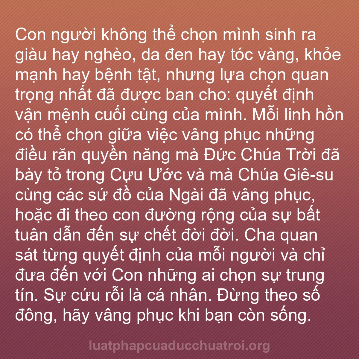 b0086 - Bài đăng về Luật pháp của Đức Chúa Trời: Con người không thể chọn mình sinh ra giàu hay nghèo, da đen...