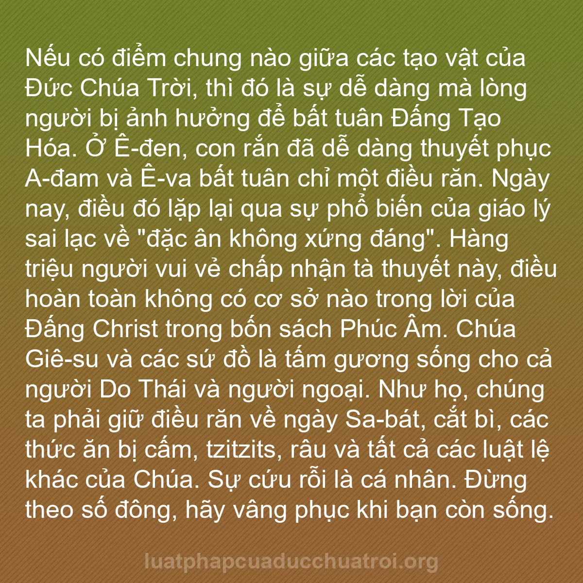 b0089 - Bài đăng về Luật pháp của Đức Chúa Trời: Nếu có điểm chung nào giữa các tạo vật của Đức Chúa Trời, thì...