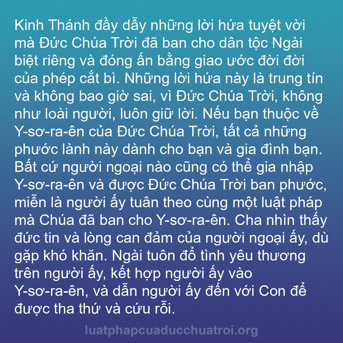 b0215 - Bài đăng về Luật pháp của Đức Chúa Trời: Kinh Thánh đầy dẫy những lời hứa tuyệt vời mà Đức Chúa Trời...