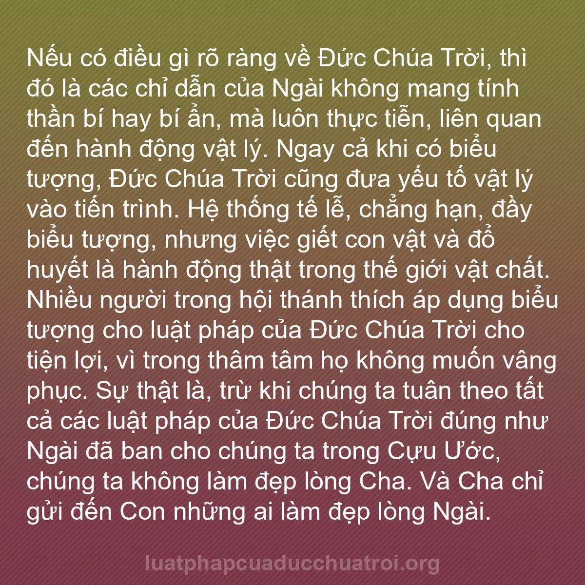 b0228 - Bài đăng về Luật pháp của Đức Chúa Trời: Nếu có điều gì rõ ràng về Đức Chúa Trời, thì đó là các chỉ dẫn...