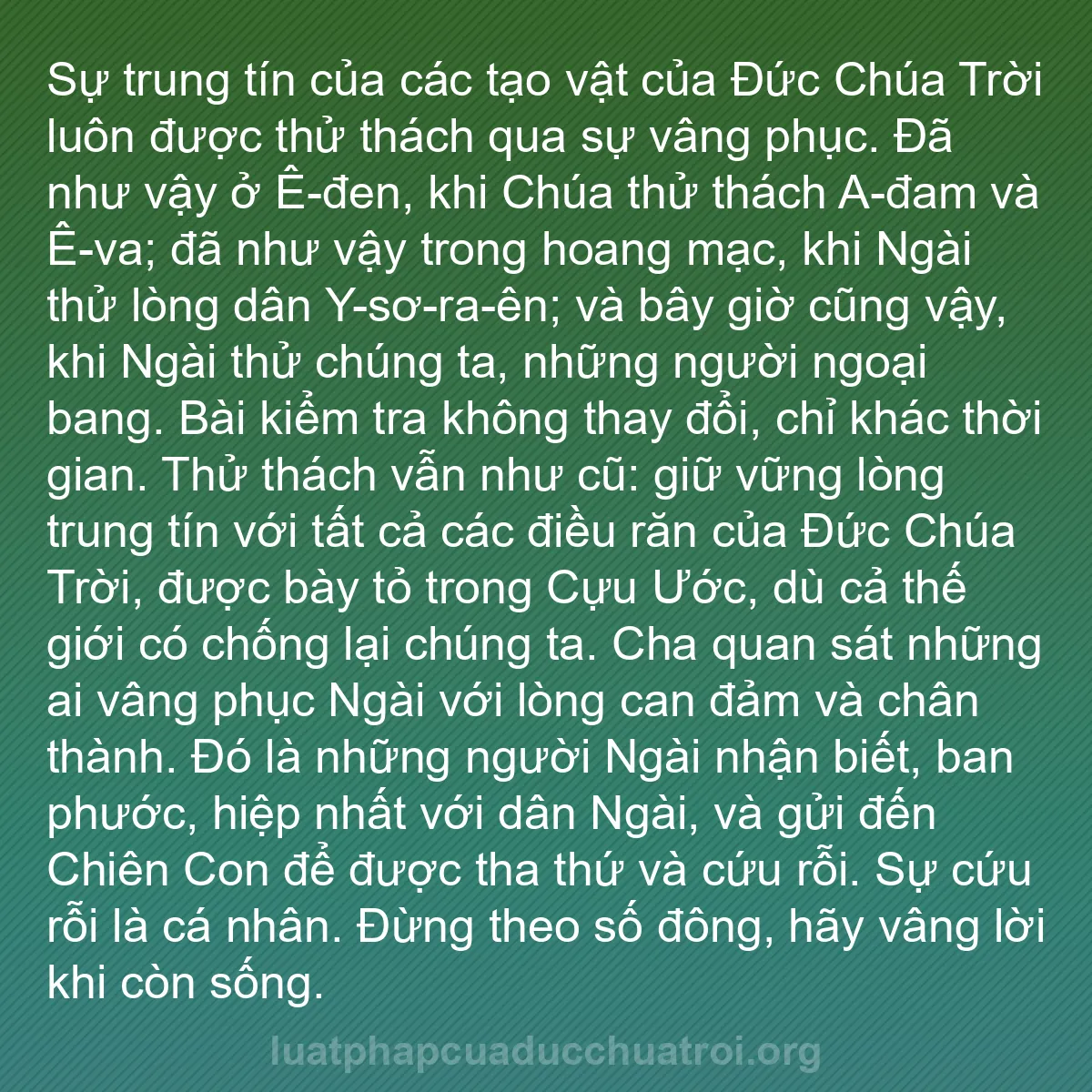b0230 - Bài đăng về Luật pháp của Đức Chúa Trời: Sự trung tín của các tạo vật của Đức Chúa Trời luôn được thử...