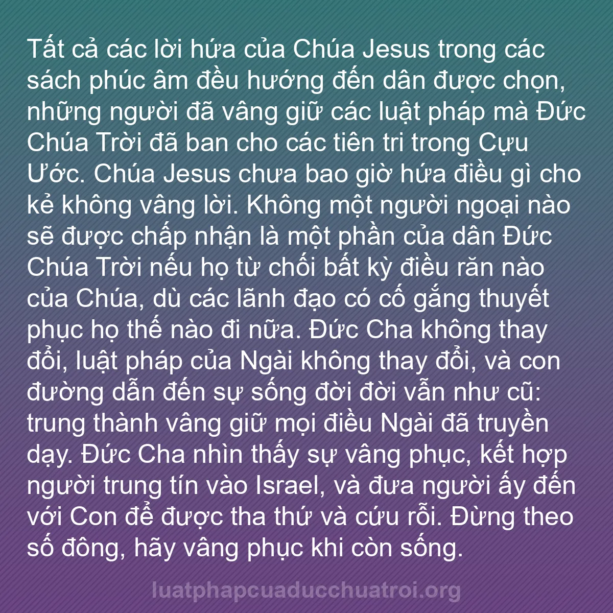 b0264 - Bài đăng về Luật pháp của Đức Chúa Trời: Tất cả các lời hứa của Chúa Jesus trong các sách phúc âm đều...