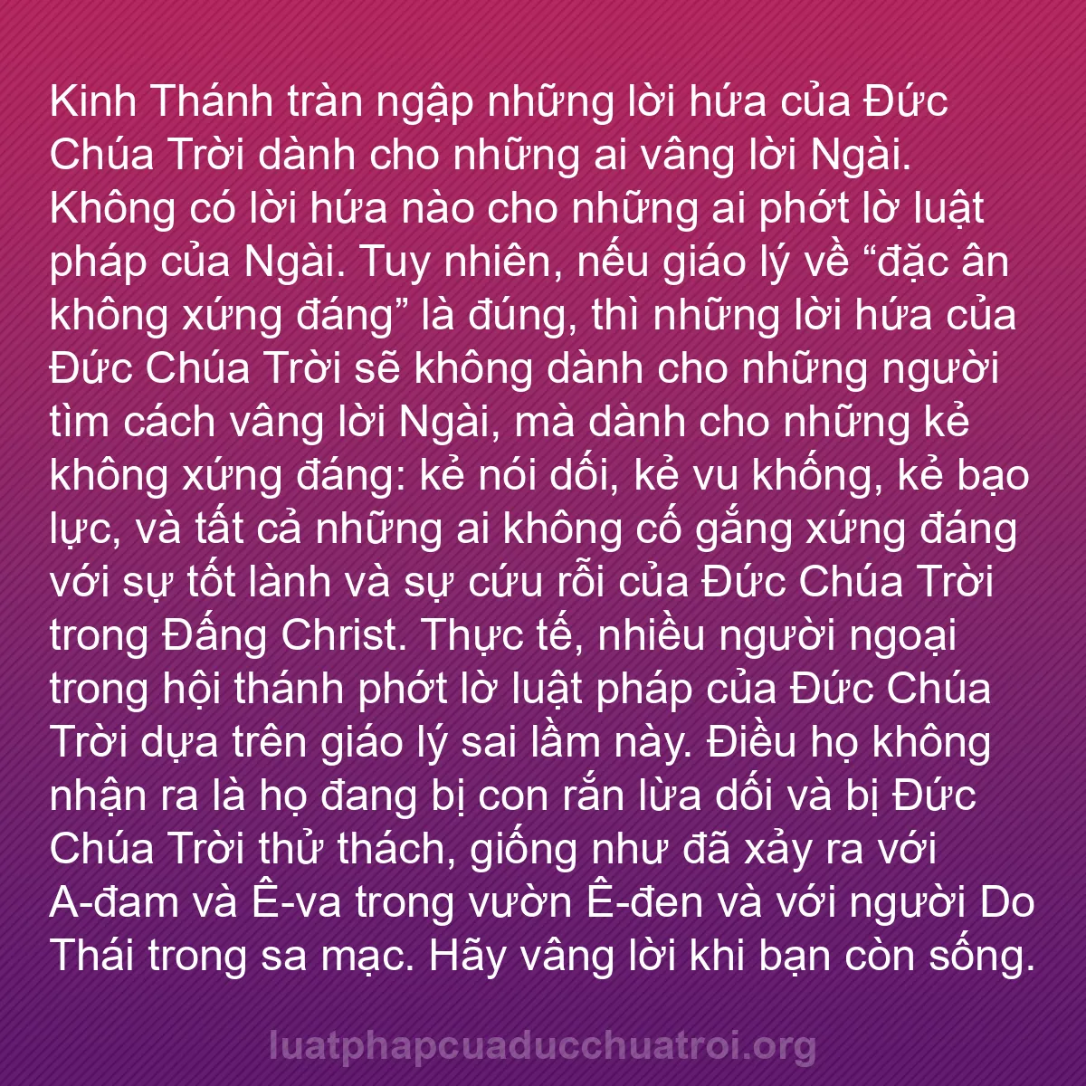 b0281 - Bài đăng về Luật pháp của Đức Chúa Trời: Kinh Thánh tràn ngập những lời hứa của Đức Chúa Trời dành cho...