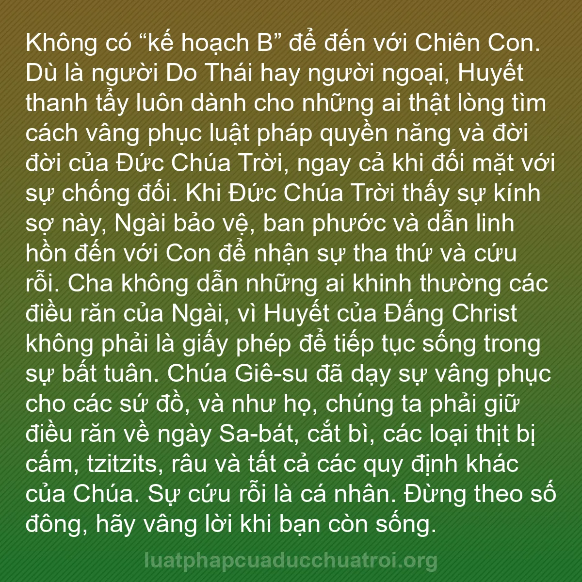 b0296 - Bài đăng về Luật pháp của Đức Chúa Trời: Không có “kế hoạch B” để đến với Chiên Con. Dù là người Do Thái...