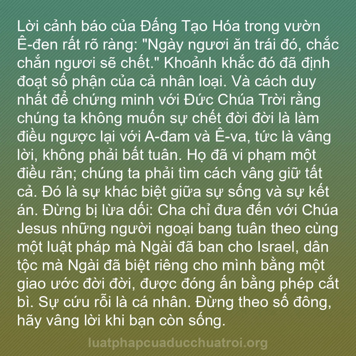 b0303 - Bài đăng về Luật pháp của Đức Chúa Trời: Lời cảnh báo của Đấng Tạo Hóa trong vườn Ê-đen rất rõ ràng:...