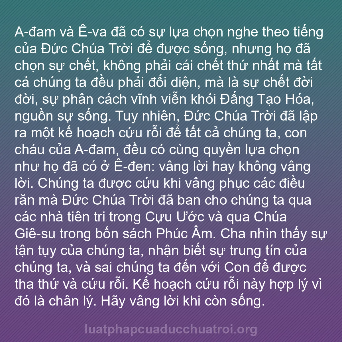 b0364 - Bài đăng về Luật pháp của Đức Chúa Trời: A-đam và Ê-va đã có sự lựa chọn nghe theo tiếng của Đức Chúa...