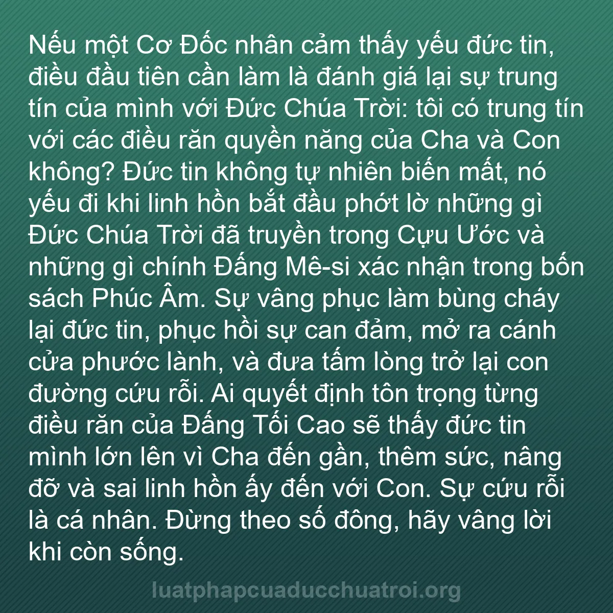 b0380 - Bài đăng về Luật pháp của Đức Chúa Trời: Nếu một Cơ Đốc nhân cảm thấy yếu đức tin, điều đầu tiên cần...