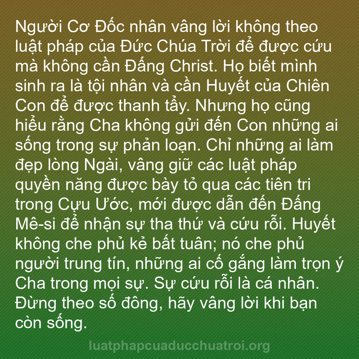 b0456 - Bài đăng về Luật pháp của Đức Chúa Trời: Người Cơ Đốc nhân vâng lời không theo luật pháp của Đức Chúa...