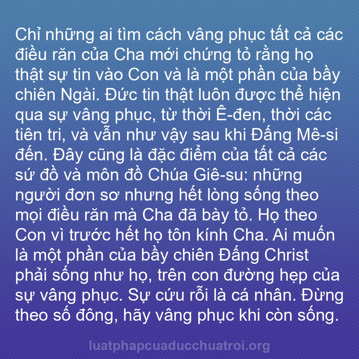 b0507 - Bài đăng về Luật pháp của Đức Chúa Trời: Chỉ những ai tìm cách vâng phục tất cả các điều răn của Cha...
