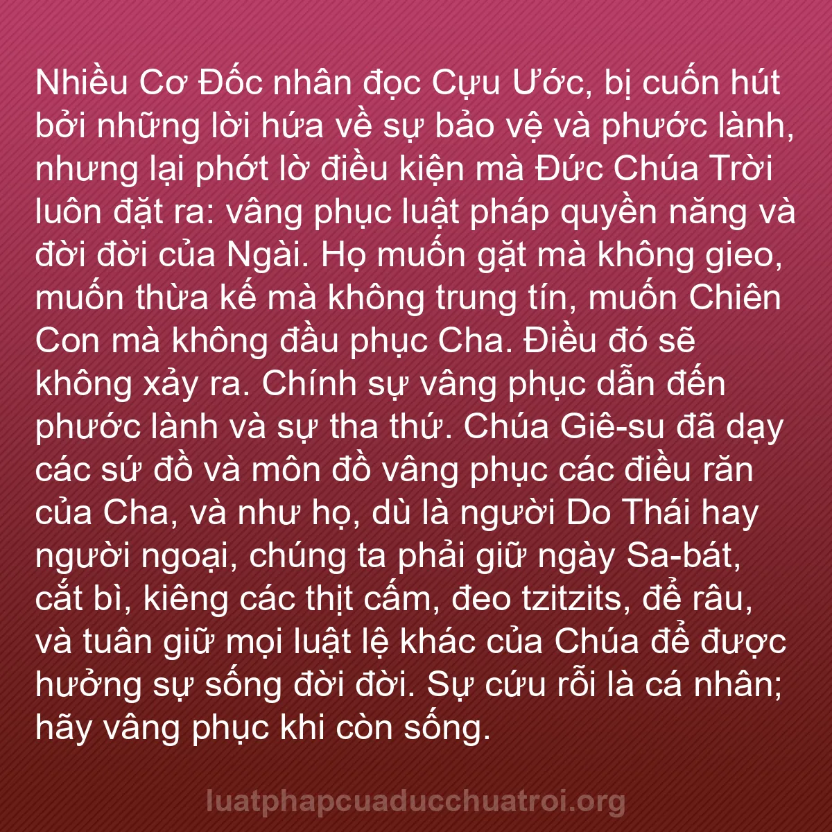 b0519 - Bài đăng về Luật pháp của Đức Chúa Trời: Nhiều Cơ Đốc nhân đọc Cựu Ước, bị cuốn hút bởi những lời hứa...
